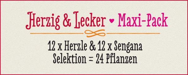 HERZIG & LECKER · Maxi-Pack