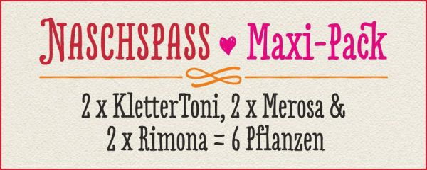 NASCHSPASS · Maxi-Pack