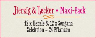 HERZIG & LECKER · Maxi Pack