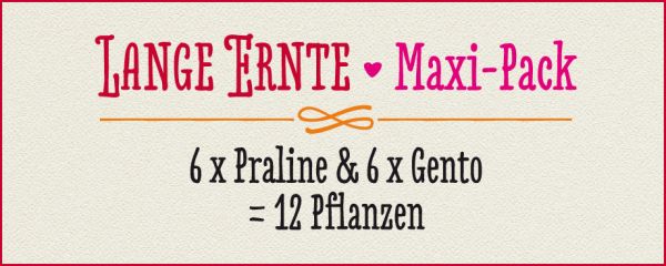 Lange Ernte · Maxi-Pack