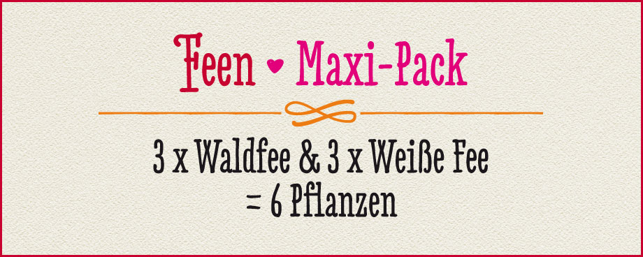 FEEN · Maxi-Pack