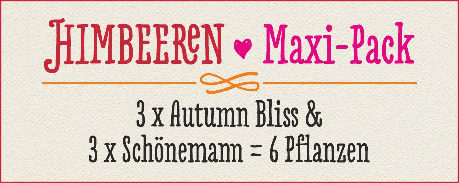 HIMBEEREN Maxi-Pack